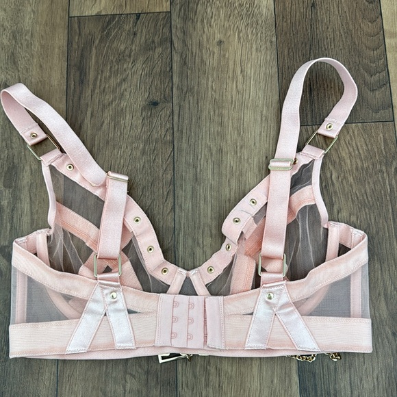Honey Birdette Indria Soft Peach Bra Size 32F (32DDD) Discontinued Sexy Bondage - Picture 9 of 11